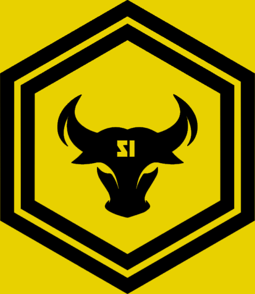 Sud'n Impact Gym